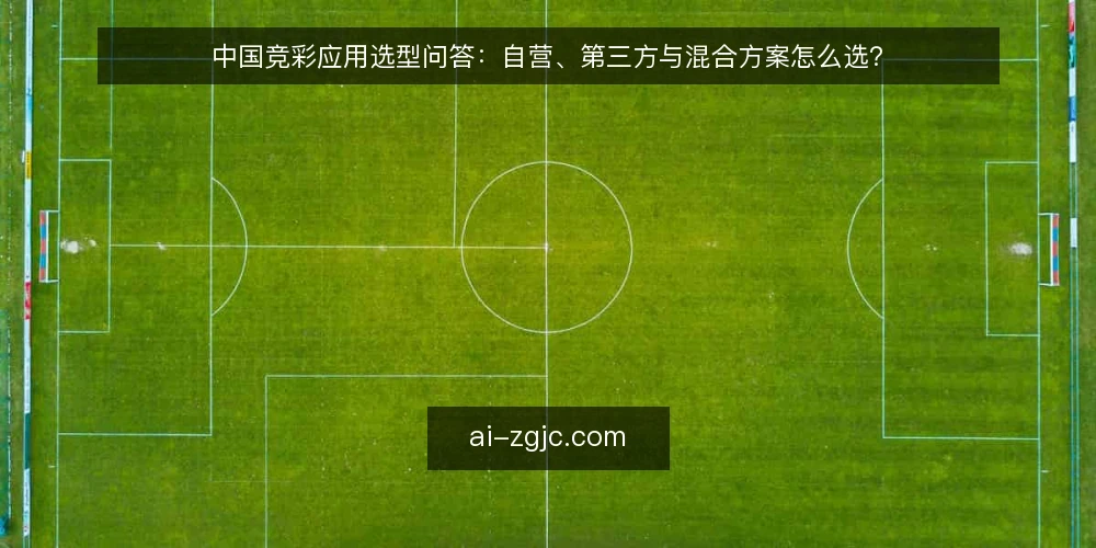 中国竞彩应用选型问答：自营、第三方与混合方案怎么选？ — 选中国竞彩应用前，先明确哪些决策标准？ 配图