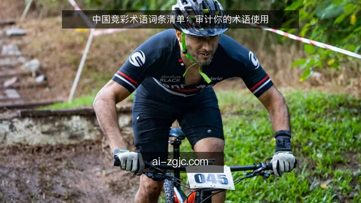 中国竞彩术语词条清单：审计你的术语使用